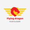 Flying Dragon 01