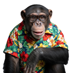Home page Main 12 Monkey with Colourfull shirt PNG HD Images Free Download