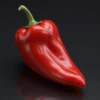 Chilli